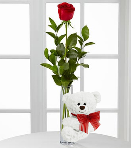 One Red Rose in Bud Vase with White Bear